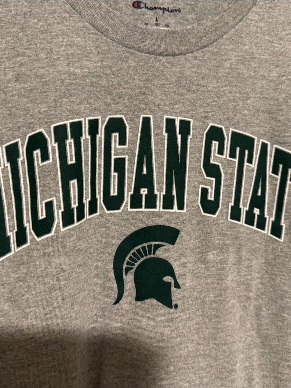 Champion Gray Crewneck Michigan State Tshirt - Picture 1 of 4